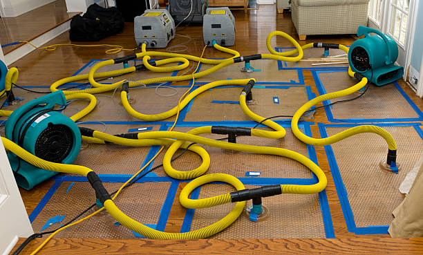 Professional Crawl Space Water Removal technician working in Franklin, TX